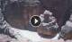 Petra 17.05.2025 13:12