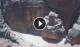 Petra 15.07.2025 13:22