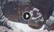 Petra 03.07.2025 13:11