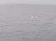 AIDAbella 01.07.2025 13:11