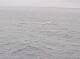 AIDAbella 24.06.2025 13:11