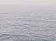 AIDAbella 07.07.2025 13:11