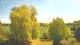 Mandelsloh 30.04.2025 13:12