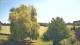 Mandelsloh 11.06.2025 13:12