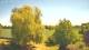 Mandelsloh 10.05.2025 13:12