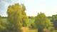 Mandelsloh 29.04.2025 13:12