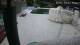 Bellaria-Igea Marina 08.05.2025 13:48