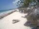 Punta Cana 14.05.2025 13:13