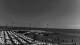 Andora 02.07.2025 13:13