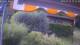 Bad Harzburg 14.07.2025 13:49