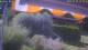 Bad Harzburg 03.07.2025 13:48
