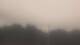 Wayland, Massachusetts 10.07.2025 13:34