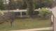 Cold Spring Harbor, New York 08.05.2025 13:34