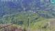 Velika Planina 29.04.2025 13:16