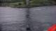 Saltstraumen 14.06.2025 13:12