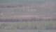 Les Landes-Genusson 15.06.2025 13:16