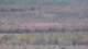 Les Landes-Genusson 09.06.2025 13:16