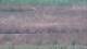 Les Landes-Genusson 05.07.2025 13:16