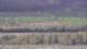 Les Landes-Genusson 08.05.2025 13:16