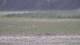 Les Landes-Genusson 17.03.2025 13:17