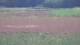 Les Landes-Genusson 10.07.2025 13:16