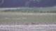 Les Landes-Genusson 08.05.2025 13:16