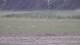Les Landes-Genusson 11.05.2025 13:16