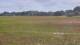 Les Landes-Genusson 14.07.2025 13:25