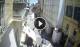 La Valette 17.05.2025 13:17