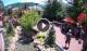 Gatlinburg, Tennessee 14.07.2025 13:26