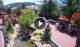 Gatlinburg, Tennessee 03.07.2025 13:17