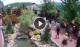 Gatlinburg, Tennessee 29.04.2025 13:18