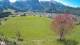 Abtenau 30.04.2025 13:17