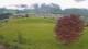 Abtenau 22.04.2025 13:17