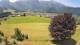 Abtenau 14.06.2025 13:17