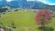Abtenau 29.04.2025 13:17