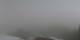 Mürren 16.03.2025 13:08