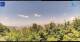 Gorga 11.05.2025 13:18