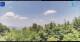 Gorga 08.06.2025 13:18