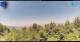 Gorga 05.07.2025 13:18