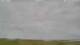 Carinish 30.06.2025 13:18