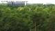Jurmala 11.07.2025 13:18
