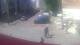 Vilnius 15.06.2025 13:18