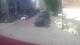 Vilnius 05.07.2025 13:18