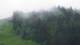 Ax-les-Thermes 15.06.2025 13:18