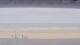 Henne Strand 08.07.2025 13:15