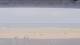 Henne Strand 11.07.2025 13:15