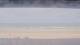 Henne Strand 02.06.2025 13:15