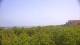 Zuydcoote 15.06.2025 13:19