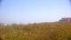 Zuydcoote 30.04.2025 13:19